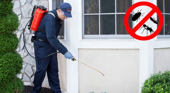 Güneysu Gümüşkurt İlaçlama böcek ilaçlama ve haşere kontrolü — ilaclama-tr.com